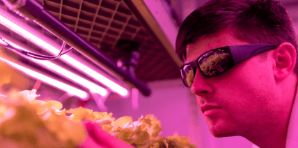 5 Study Tips for Academic Success